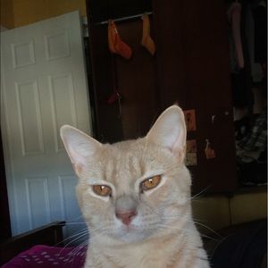 Meet your Posher, Hermes